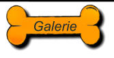 Galerie