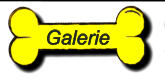 Galerie