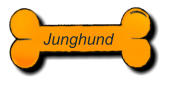 Junghund