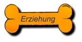 Erziehung