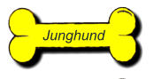 Junghund