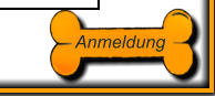 Anmeldung