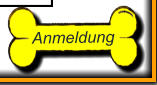 Anmeldung