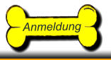 Anmeldung