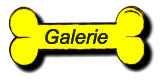 Galerie