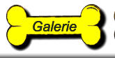 Galerie