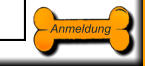 Anmeldung