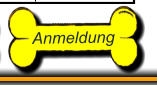 Anmeldung