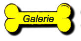 Galerie