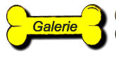 Galerie