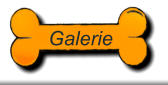 Galerie