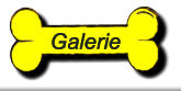 Galerie