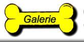 Galerie