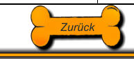 Zurck