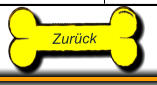 Zurck