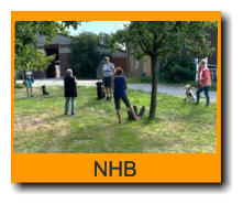 NHB