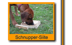 Schnupper-Siite