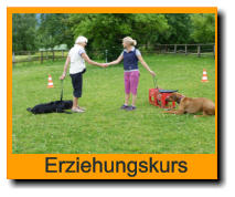 Erziehungskurs