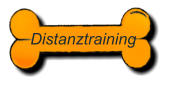 Distanztraining