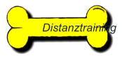 Distanztraining