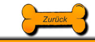 Zurck