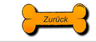 Zurck