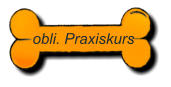 obli. Praxiskurs