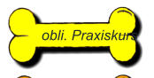 obli. Praxiskurs
