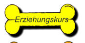 Erziehungskurs